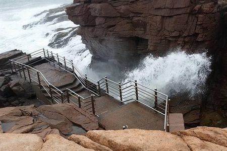 Premium Narrated Bus Tour of Bar Harbor and Acadia National Park (3.5 Hours) 