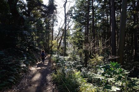 Kamakura One Day Hike Tour with Government-Licensed Guide