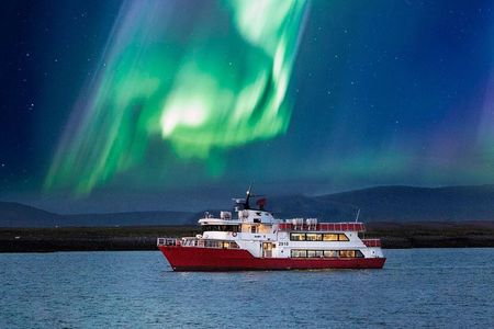 Winter Whale Watching and Northern Lights Cruise from Reykjavik