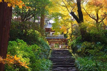 Kamakura Zen Temples and Gardens Private Trip with Government-Licensed Guide