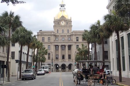Savannah Scavenger Hunt Adventure