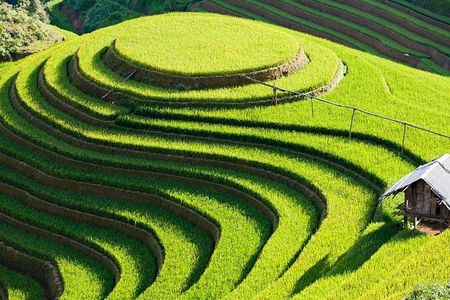 Mu Cang Chai trekking 4 days 3 nights