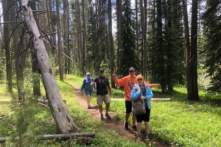 Private Hidden Gems of Yellowstone! Lunch w/ family friendly hikes included!