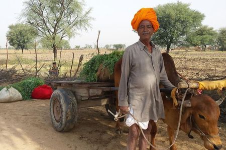 12 Days Heritage of Royal Rajasthan Tour with Golden Tringle