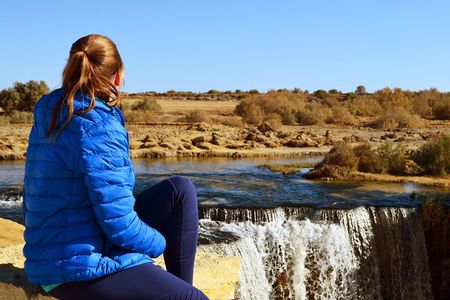 Full-Day Fayoum Oasis Private Tour from Cairo or Giza