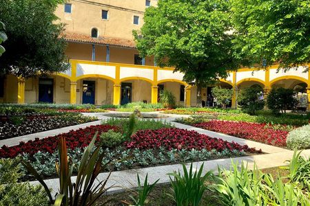 Half-Day Van Gogh Tour of Provence from Avignon