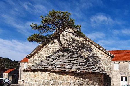 Private Day Trip TO Brač Island With Authentic lunch