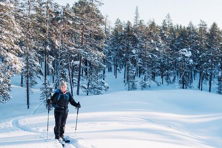 Guided Wilderness Skiing Tour In Pyhätunturi