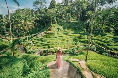  All inclusive Bali trips on your selection
