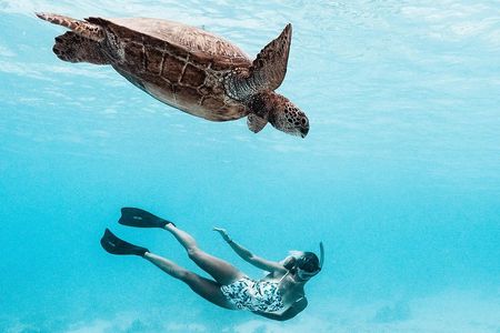 Private Boat Tour of Moorea Lagoon