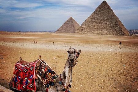Full-Day Giza Pyramids Sphinx Sakkara Private Tour with Pickup