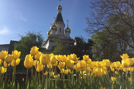Sofia Walking Private City Tour