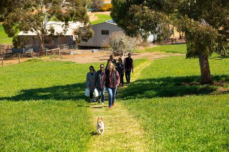 Walk, Taste, Graze - Experience at Pindarie 