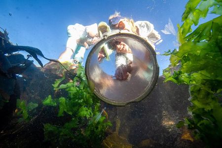 Cape Peninsula with a Marine Biologist