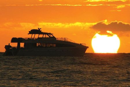 San Diego Dolphin Watch Sunset Cruise from Mission Bay