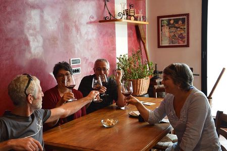 4 WINES TASTING in a Chianti Classico Farm (Visit/tour at the winery included)