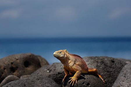 Active Galapagos Island tour 10 days 