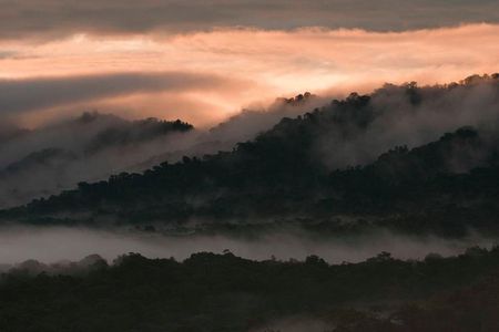 Bellavista Cloud Forest Reserve - full day