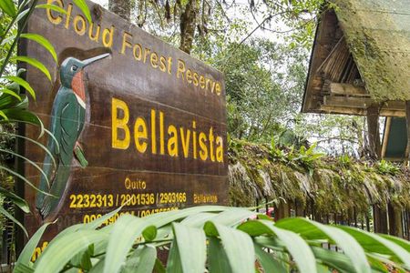 Bellavista Cloud Forest reserve / 3 day tour