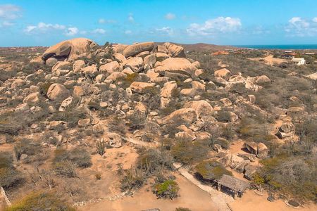 Customized Aruba Island Private Tour for All Ages