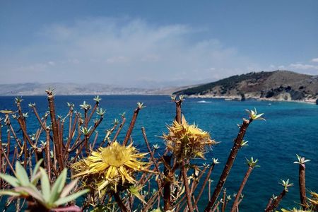 Half-day Tour in South Albania (Blue Eye, Lekursi Castle, Ksamil)