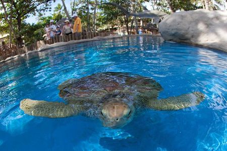 Tour Praia do Forte and Guarajuba, Leaving Salvador-Bahia.
