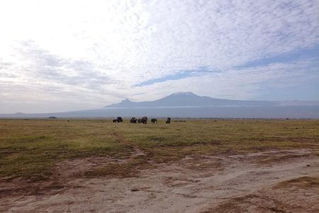4 Days Amboseli & Tsavo West Wildlife Safari