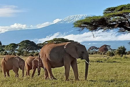 13 Days Photographers safari