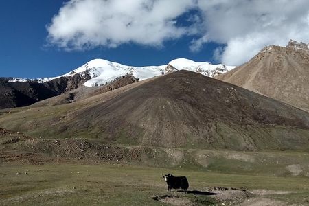 17 Days Trekking Shimshal Pass Manglik Sar (6050m Peak Pakistan