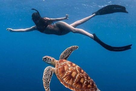 All-Inclusive : Bali Blue Lagoon Snorkeling with Lunch, Transport