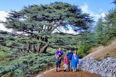 Private Trip to Beiteddine, Deir el Qamar & Maaser el Chouf Cedars