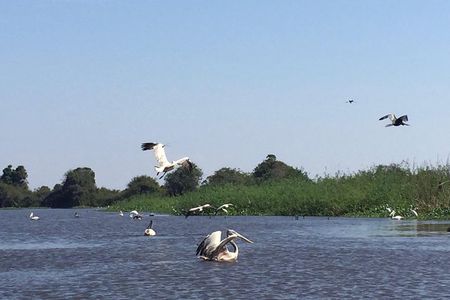 Private Tour Prek Toal Bird Sanctuary Off Beaten Track 