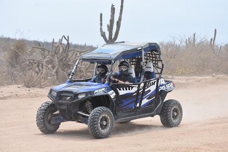 Razors in Cabo San Lucas