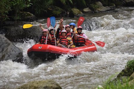 Bali Telaga Waja Rafting & Zipline (Less Stairs)