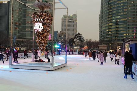 Gangnam Tour(Inc. Dinner & Drink) _ The past and present of Korea