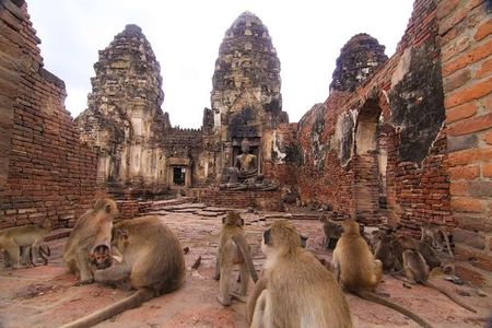 Private tour to Ayutthaya and Lopburi Monkey Temple (from Bangkok)
