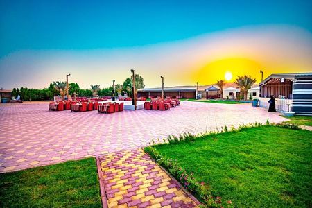 Private Premium Desert Safari with 5 Star Live BBQ Dinner 