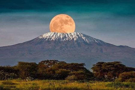 1 Day safari to Amboseli National park.