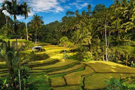 Exploring Bali in 3 Days: Discover Top Places in Bali
