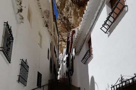 White Villages and Ronda Day Trip from Seville