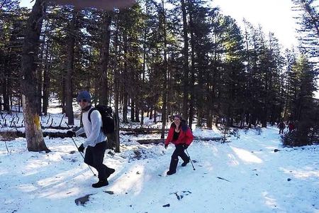 Private - Bogd Khan National Park Hiking Day Trip