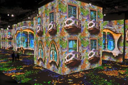 Van Gogh & Carrières de Lumières Half-Day Tour from Avignon