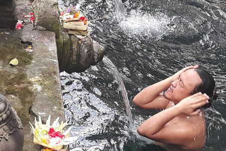 Ubud Water Temple Waterfall Terrace Swing Private Guided Tour