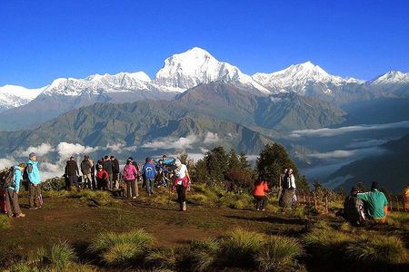 Annapurna Dhaulagiri Khopra Trekking