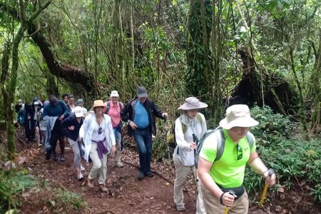 Best Kilimanjaro Adventures 6 Days Marangu Route Experience