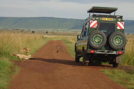 Lake Nakuru, Naivasha & Masai Mara 4 Days Private Jeep Safari 