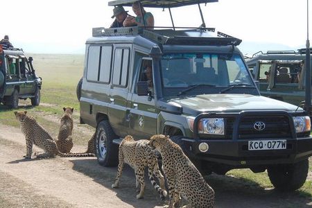 Lake Nakuru, Naivasha & Masai Mara 4 Days Private Jeep Safari 