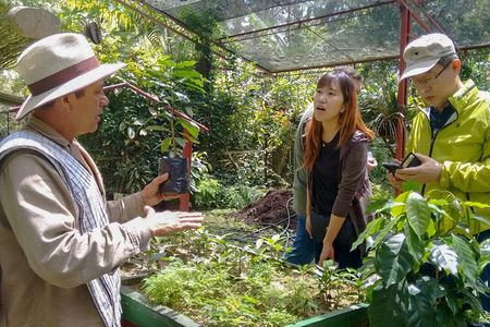 Coffee Plantation Tour From Bogota