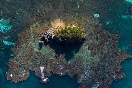 Los Haitises National Park private Kayaking 4 hours trip Mangroves and Cave