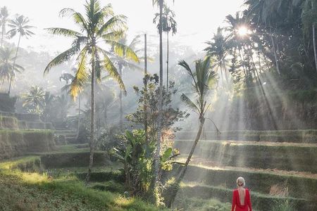 Individual Bali Day Trip with Private Driver and Free WiFi